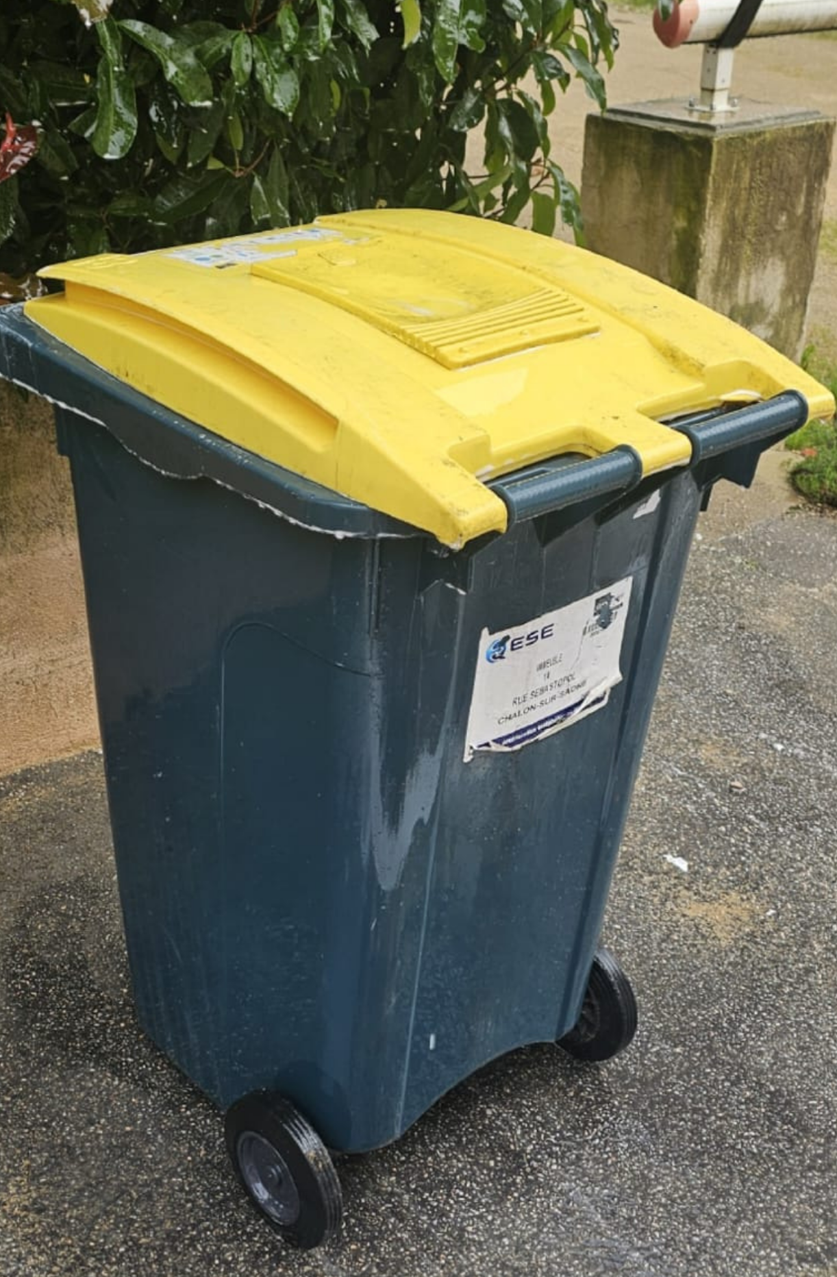 Bac poubelle propre après nettoyage haute pression